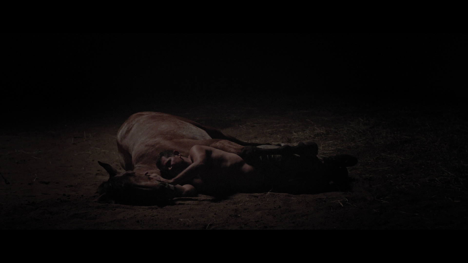 霓虹牛剧照的剧照