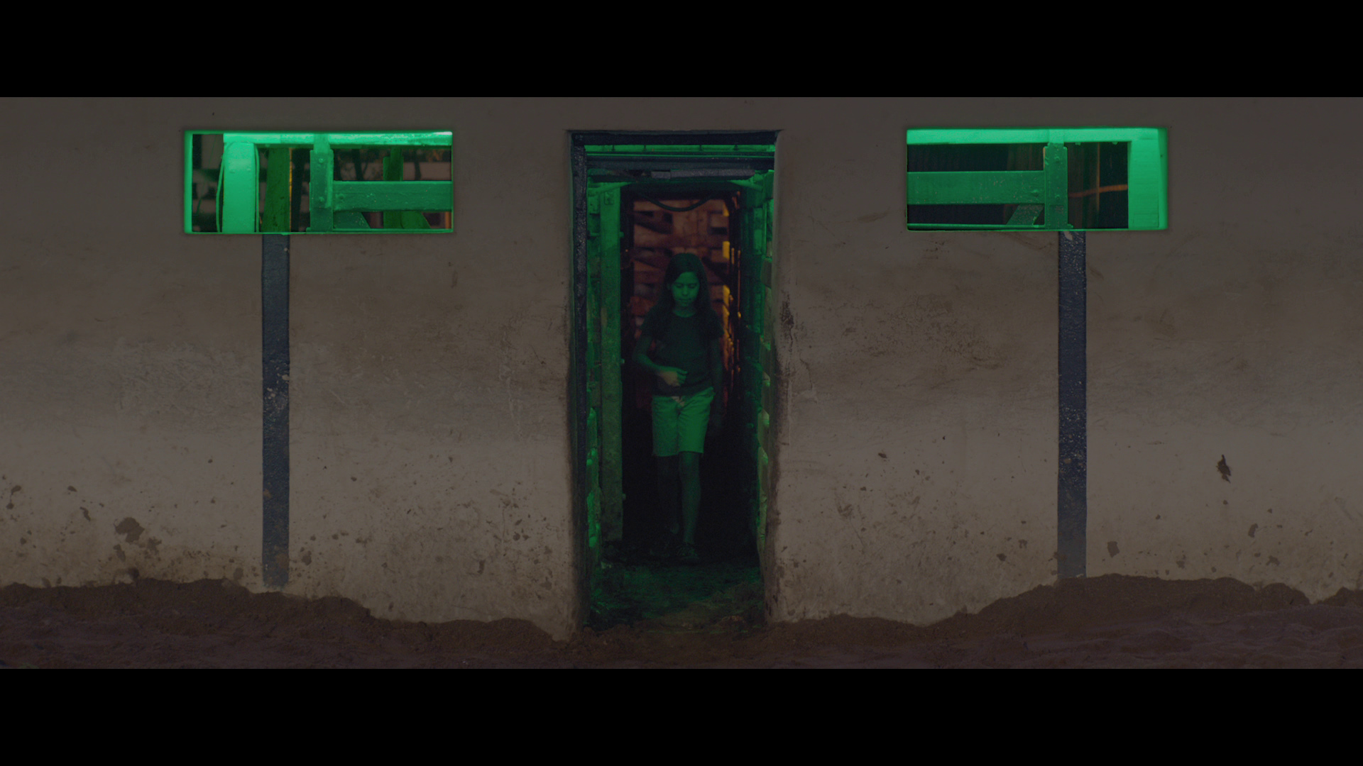 霓虹牛剧照的剧照