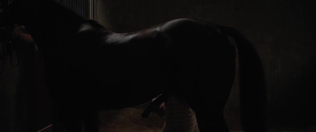 霓虹牛剧照的剧照