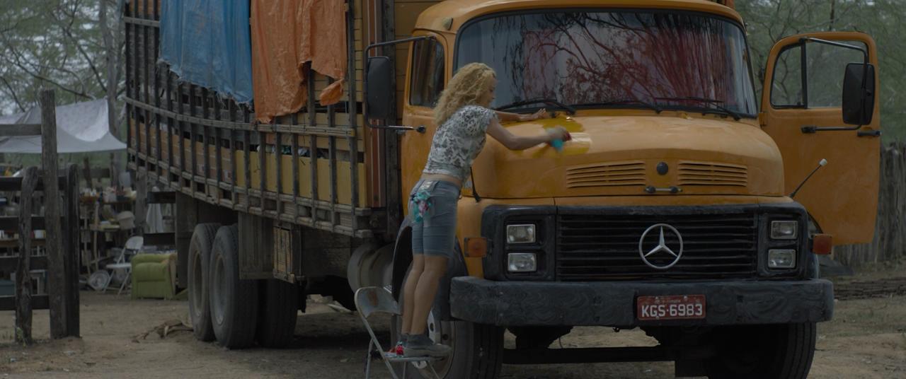 霓虹牛剧照的剧照