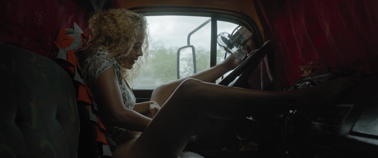 霓虹牛剧照的剧照