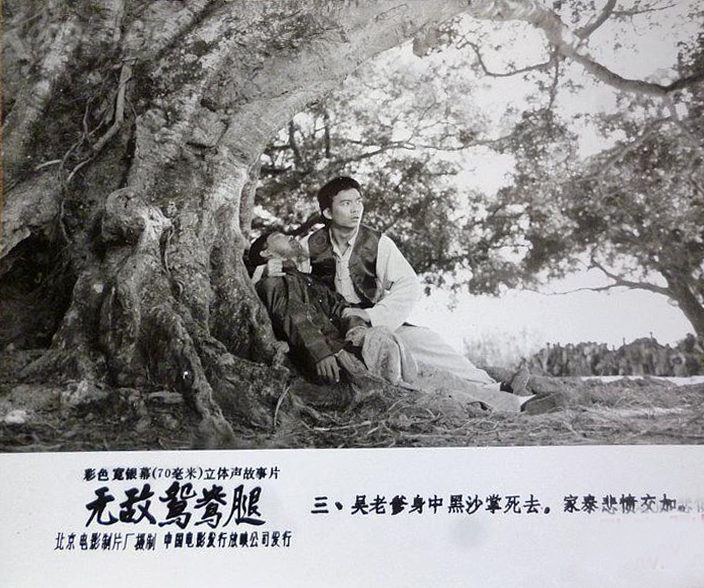 无敌鸳鸯腿剧照的剧照