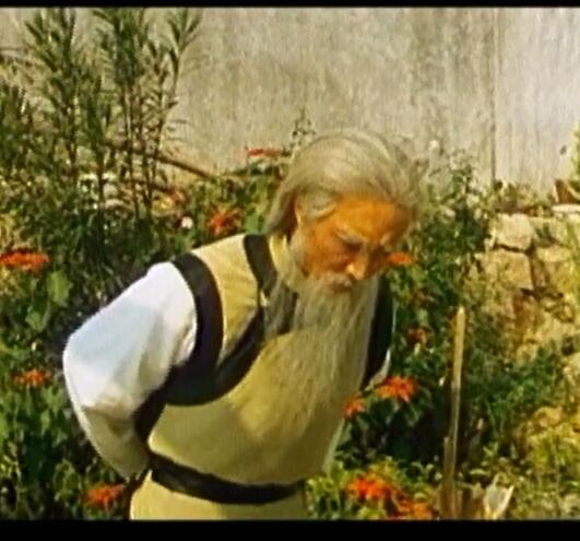 无敌鸳鸯腿剧照的剧照