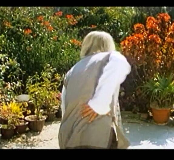 无敌鸳鸯腿剧照的剧照