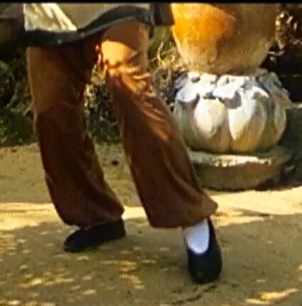 无敌鸳鸯腿剧照的剧照