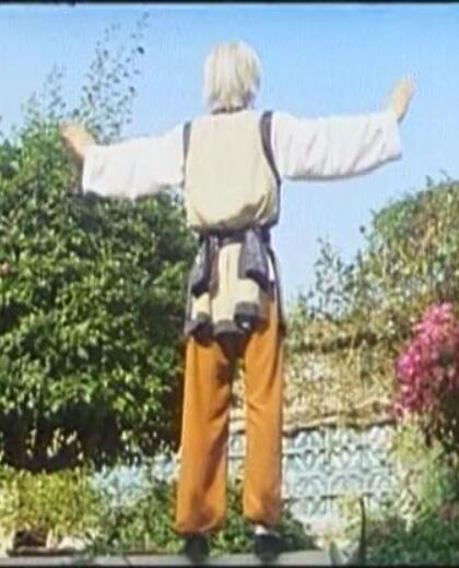 无敌鸳鸯腿剧照的剧照