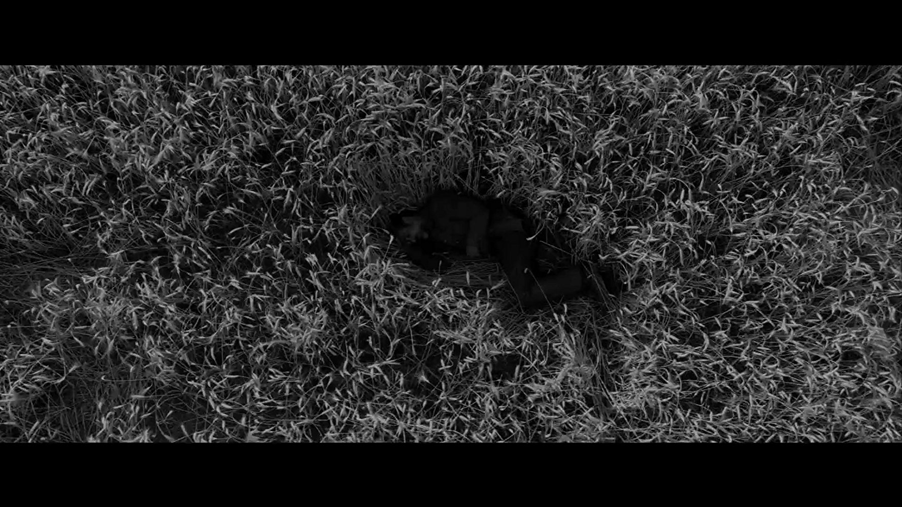 谷粒剧照的剧照