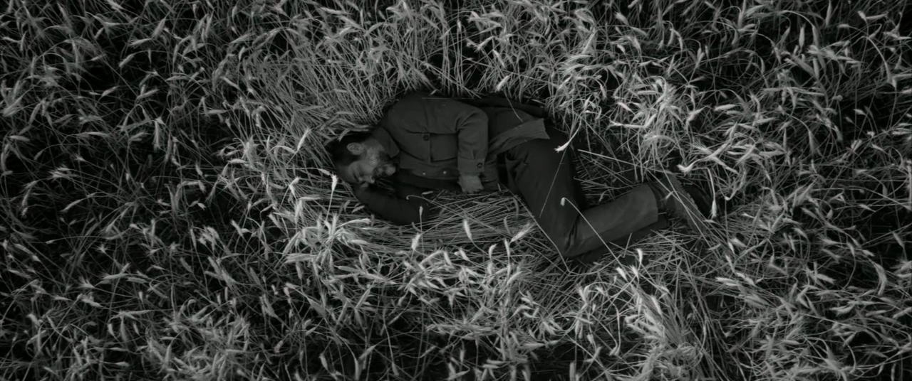 谷粒剧照的剧照