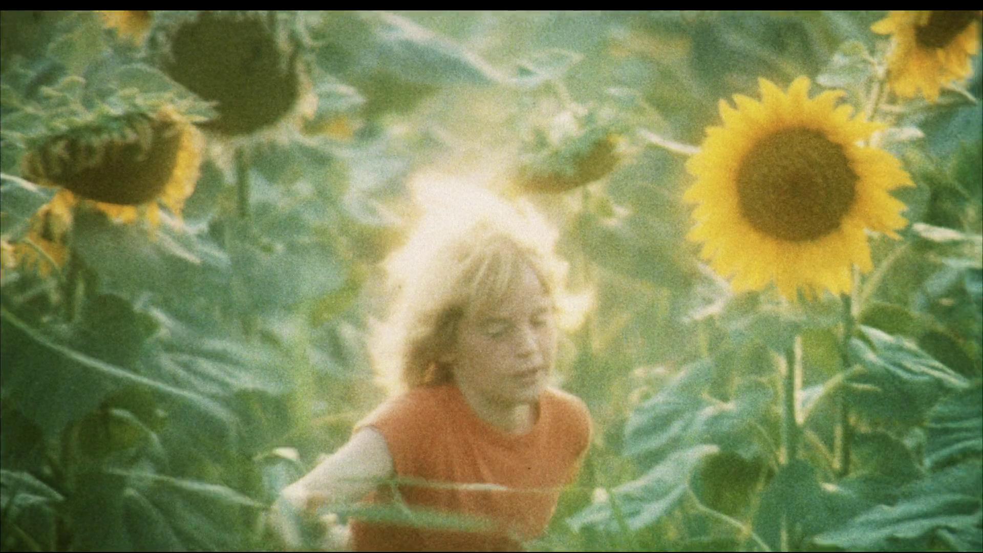 父子情深剧照的剧照