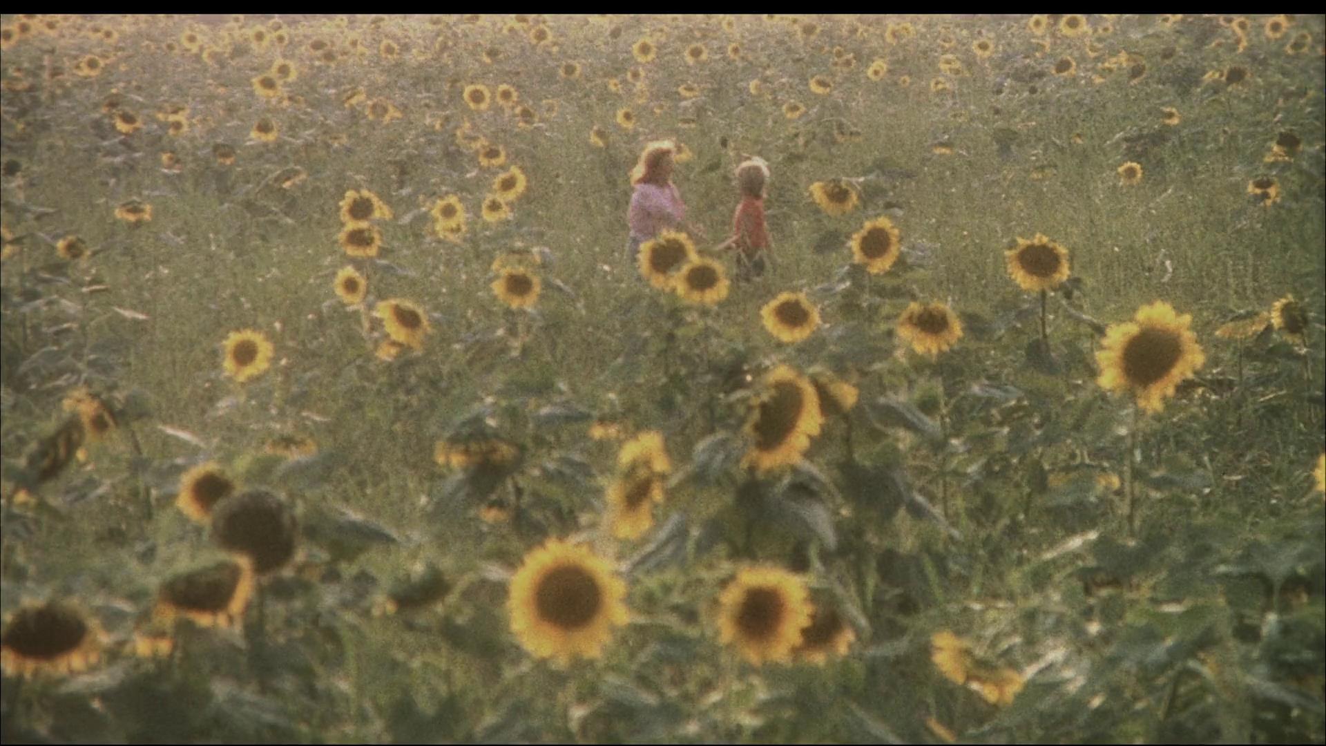 父子情深剧照的剧照