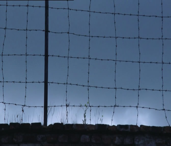 罗莎·卢森堡剧照的剧照