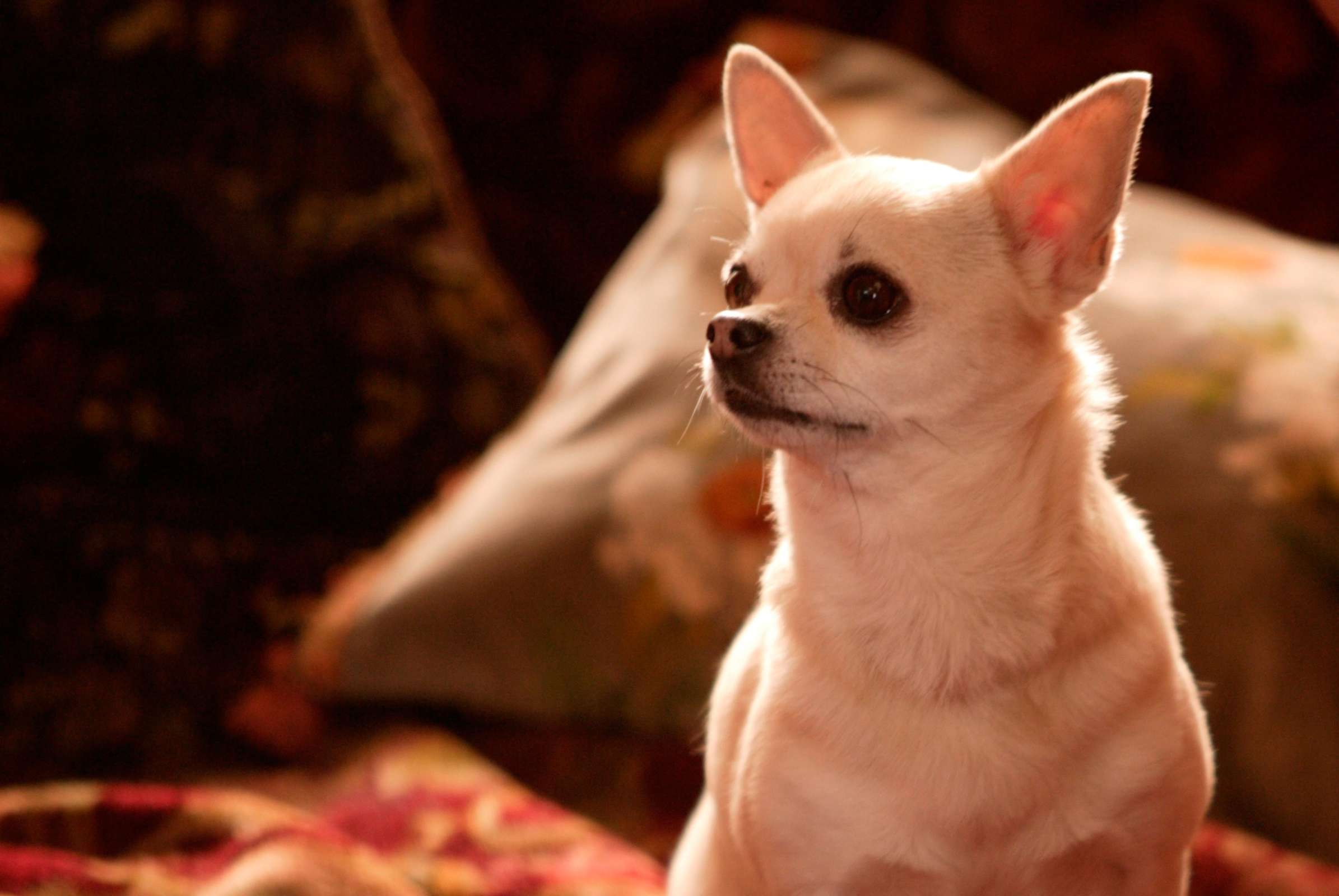 水性杨花剧照的剧照