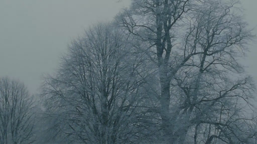 水性杨花剧照的剧照