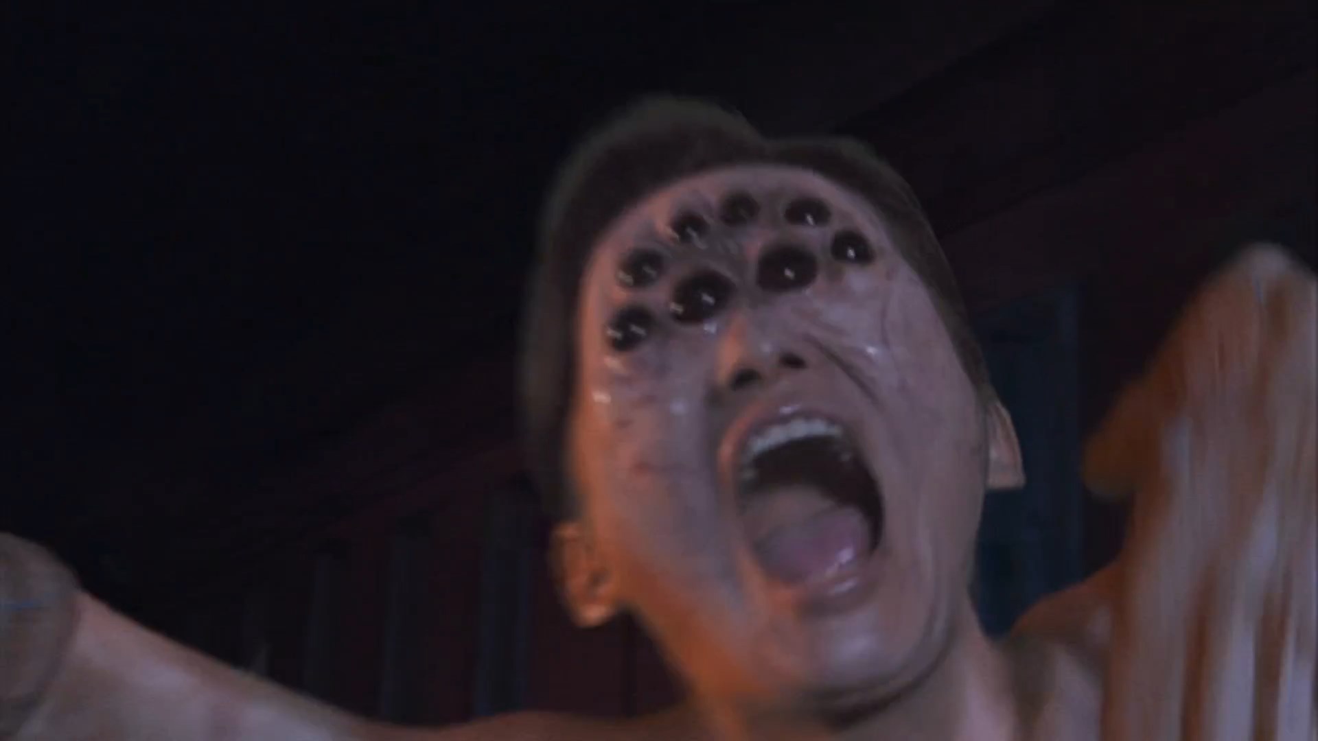 东瀛鬼咒剧照的剧照