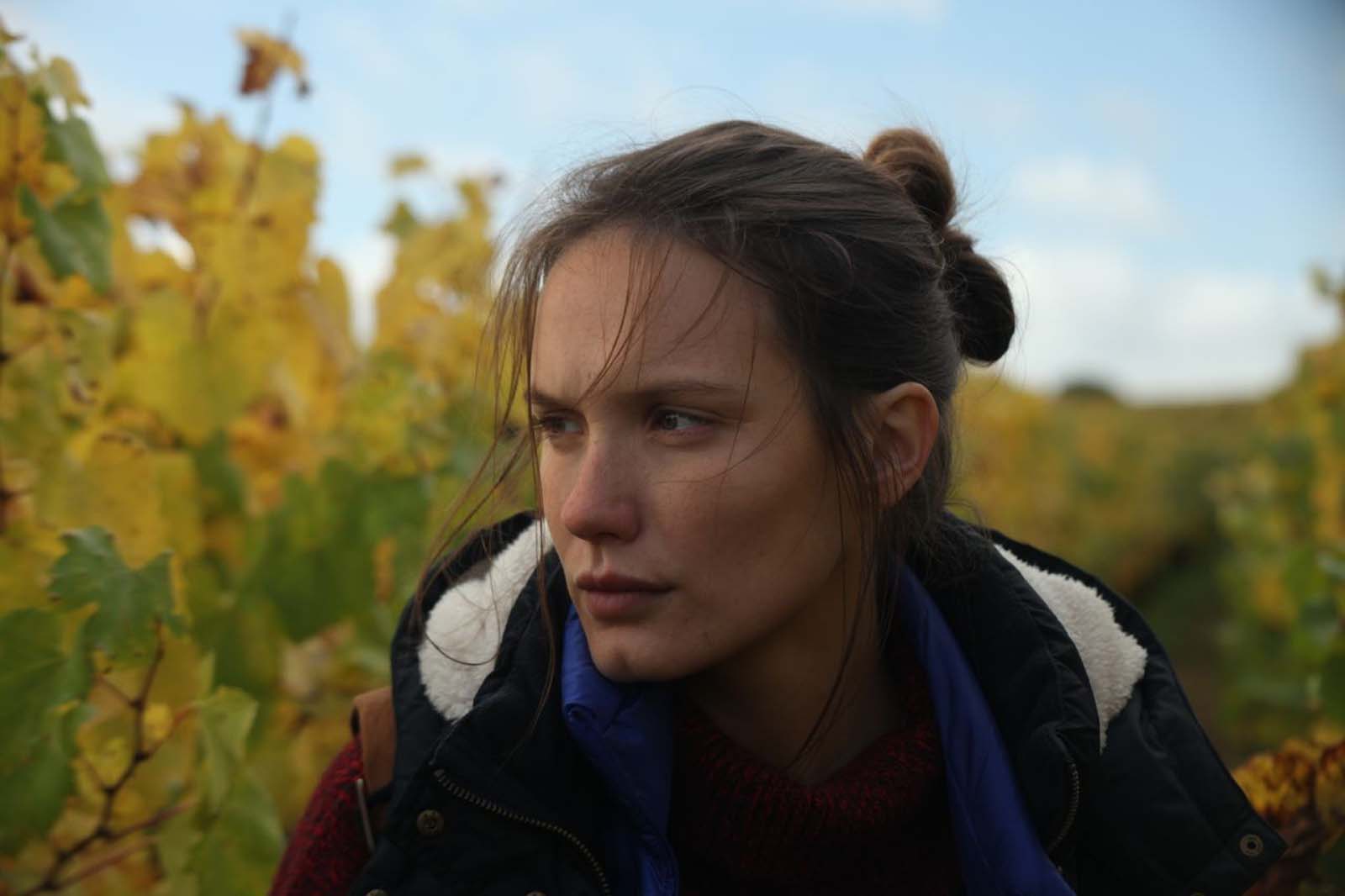 浓情酒乡剧照的剧照