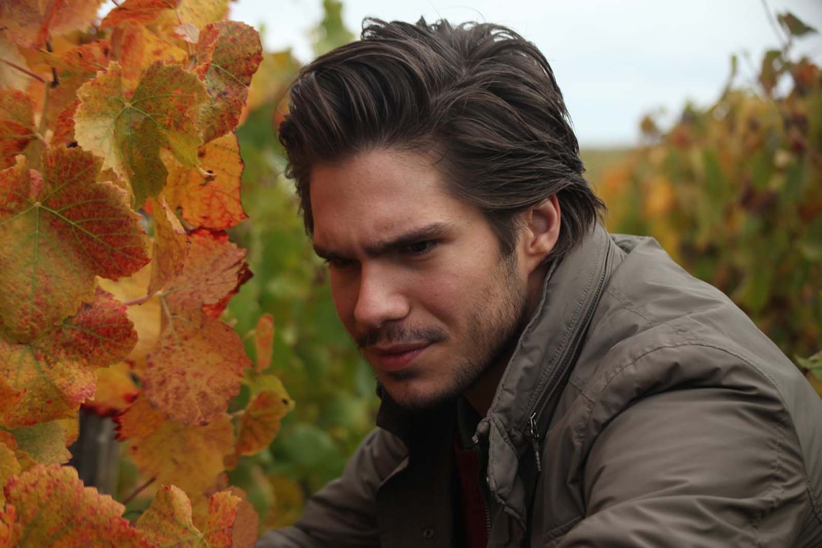 浓情酒乡剧照的剧照