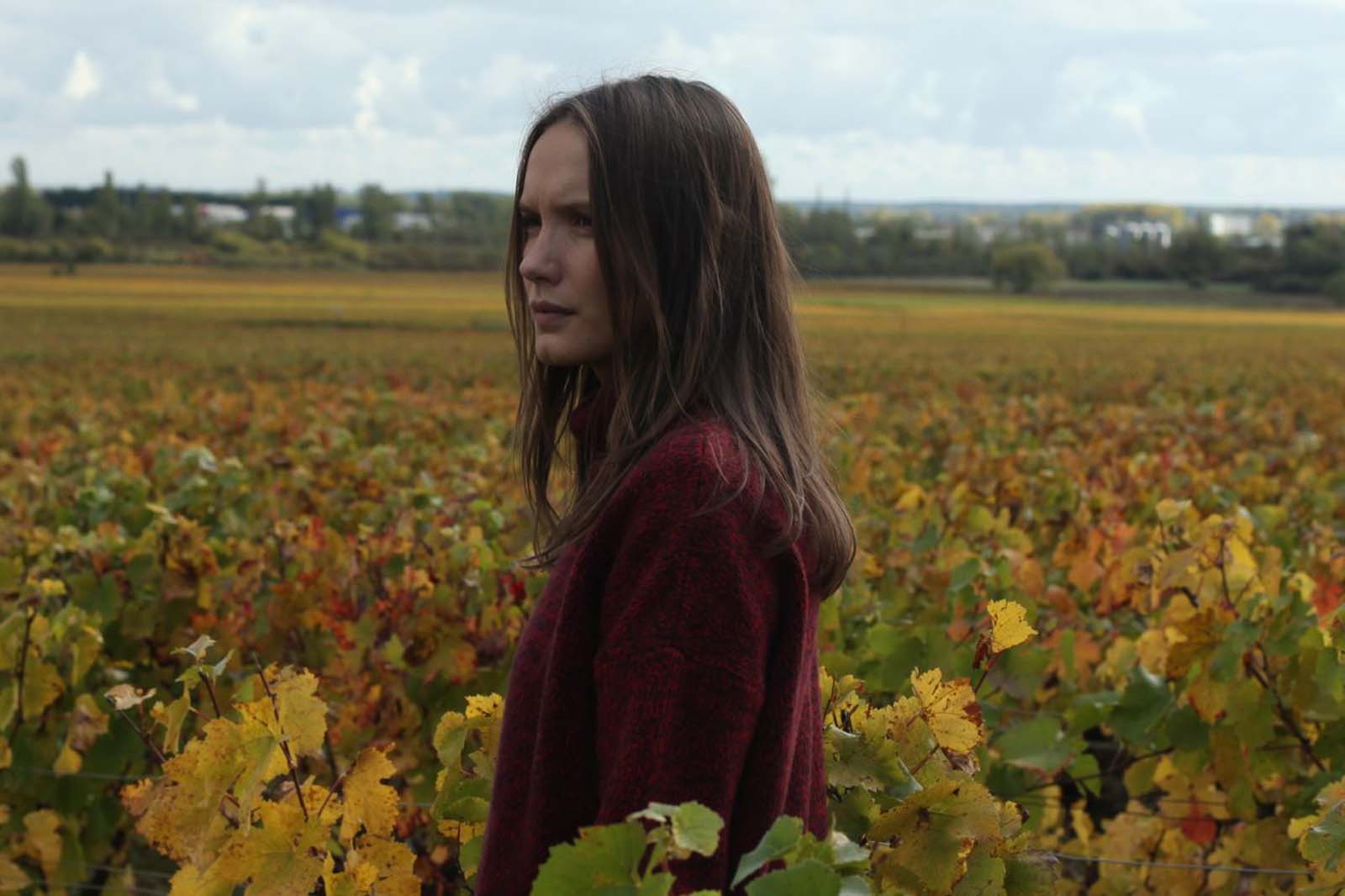 浓情酒乡剧照的剧照