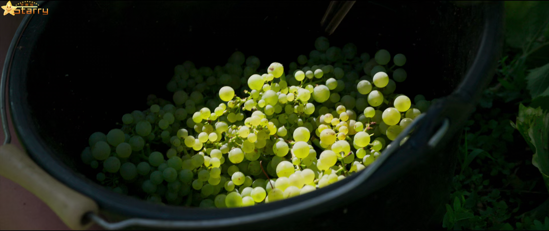 浓情酒乡剧照的剧照