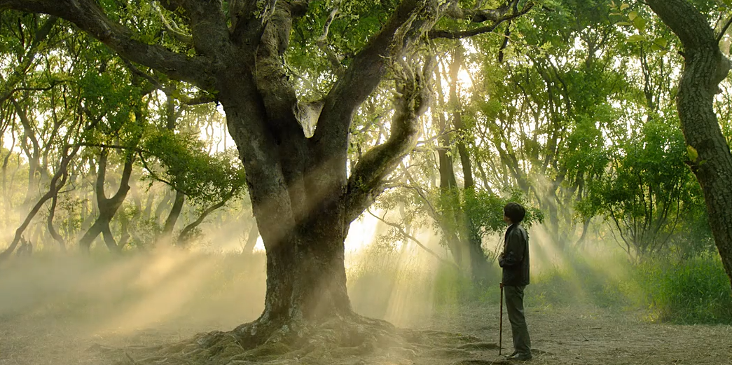 琉璃庭院剧照的剧照