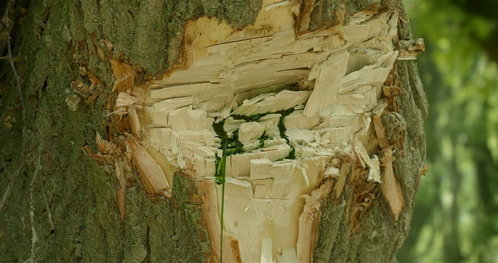 琉璃庭院剧照的剧照