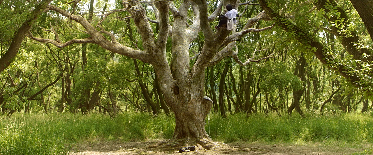 琉璃庭院剧照的剧照