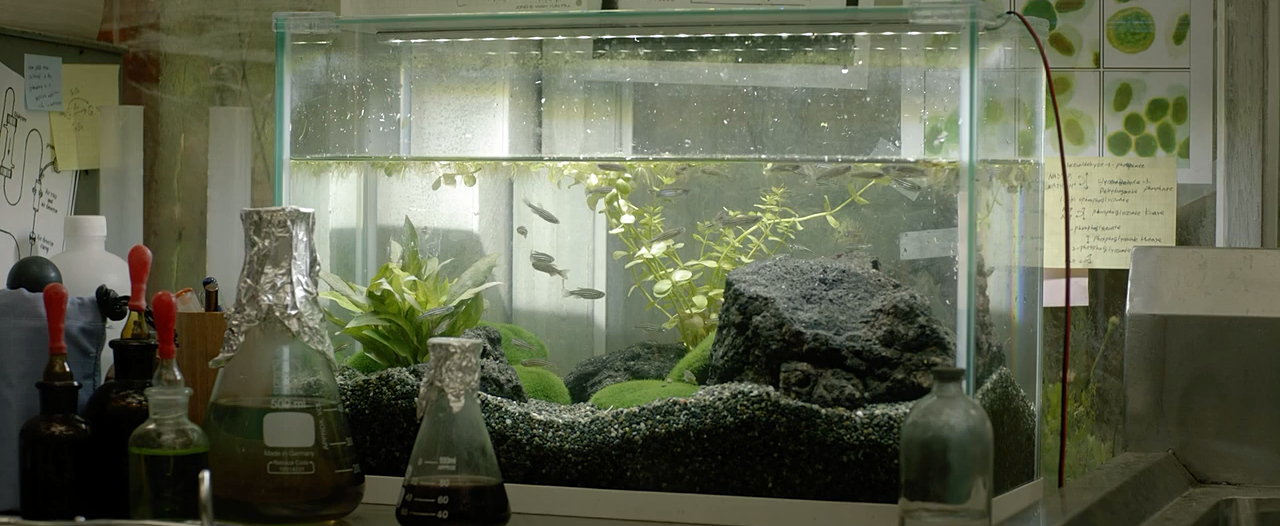 琉璃庭院剧照的剧照