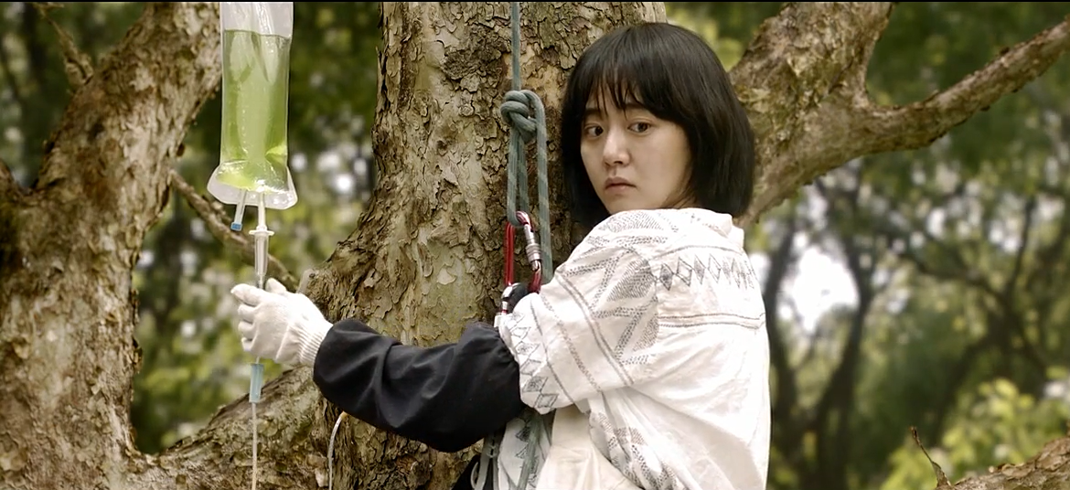 琉璃庭院剧照的剧照