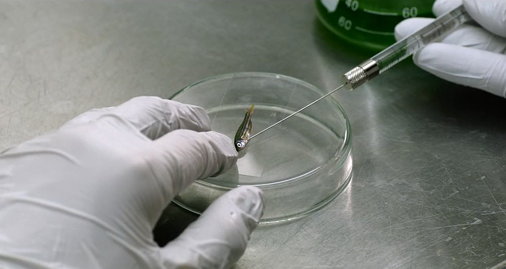 琉璃庭院剧照的剧照