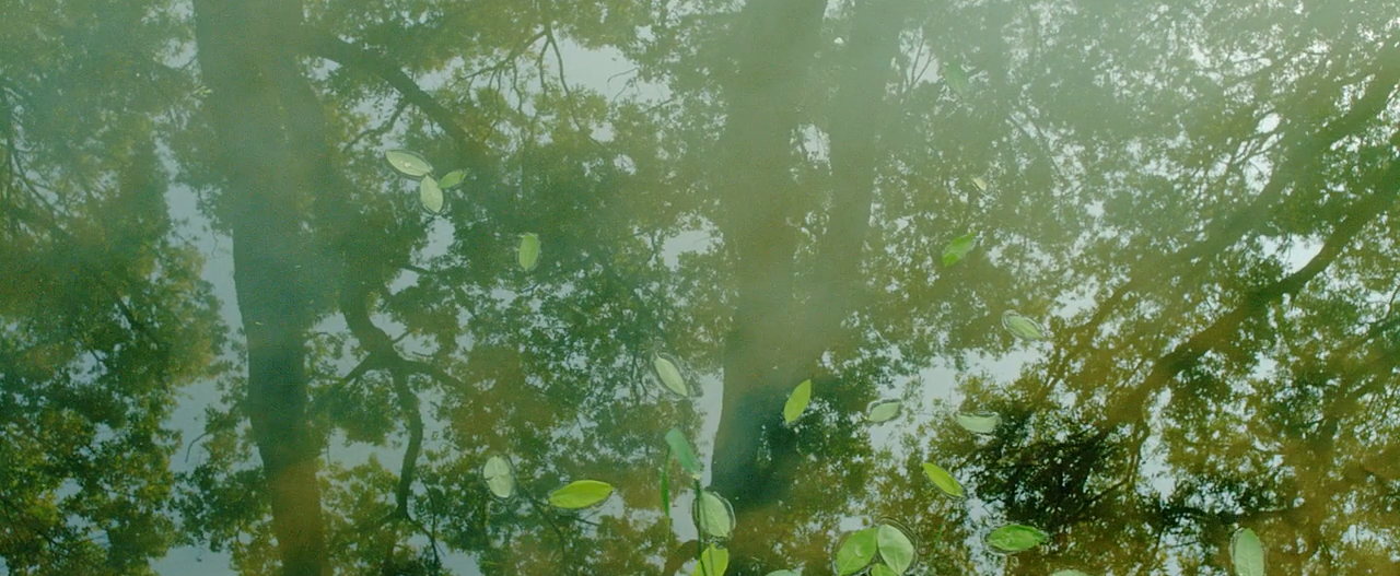 琉璃庭院剧照的剧照