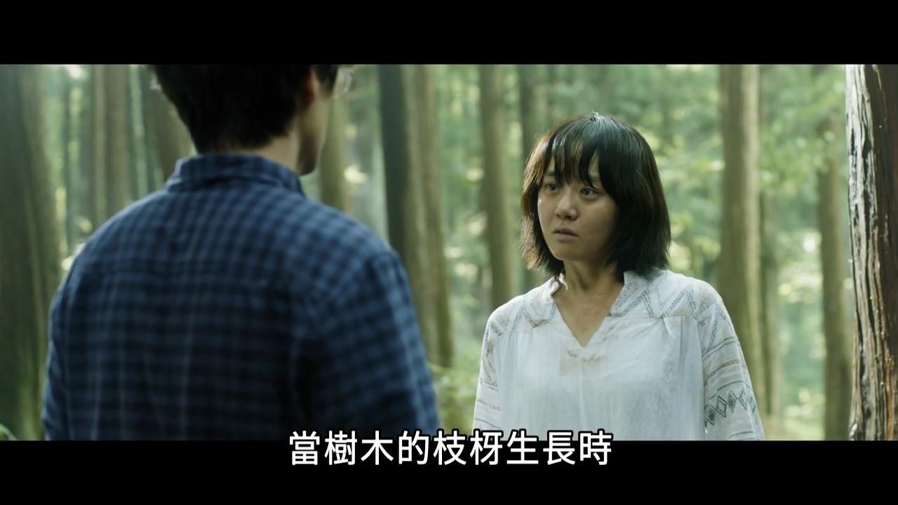 琉璃庭院剧照的剧照