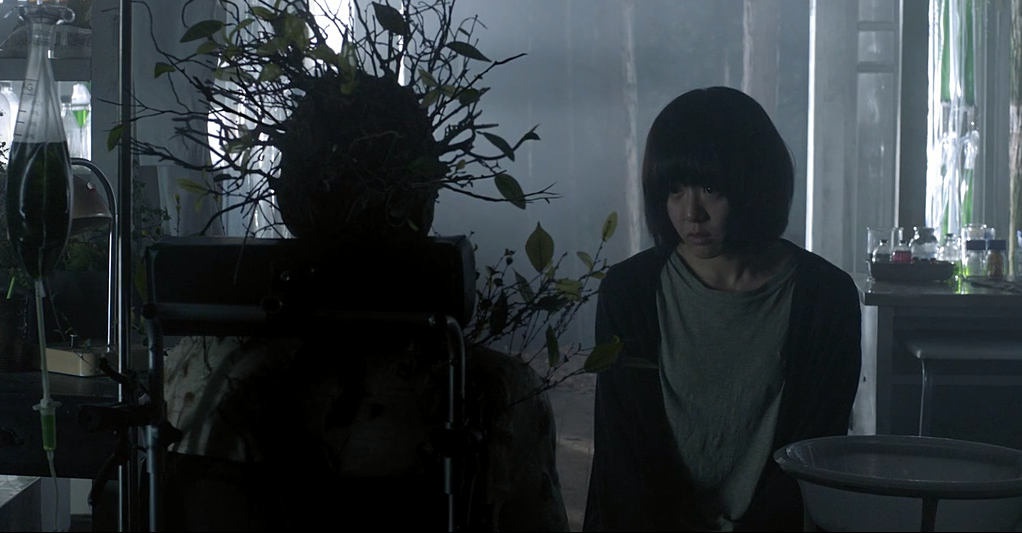 琉璃庭院剧照的剧照