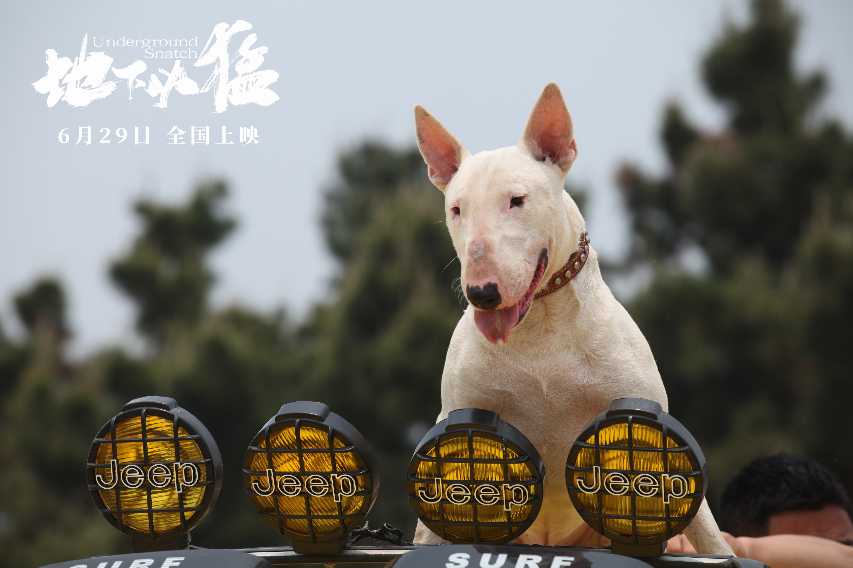 地下凶猛剧照的剧照