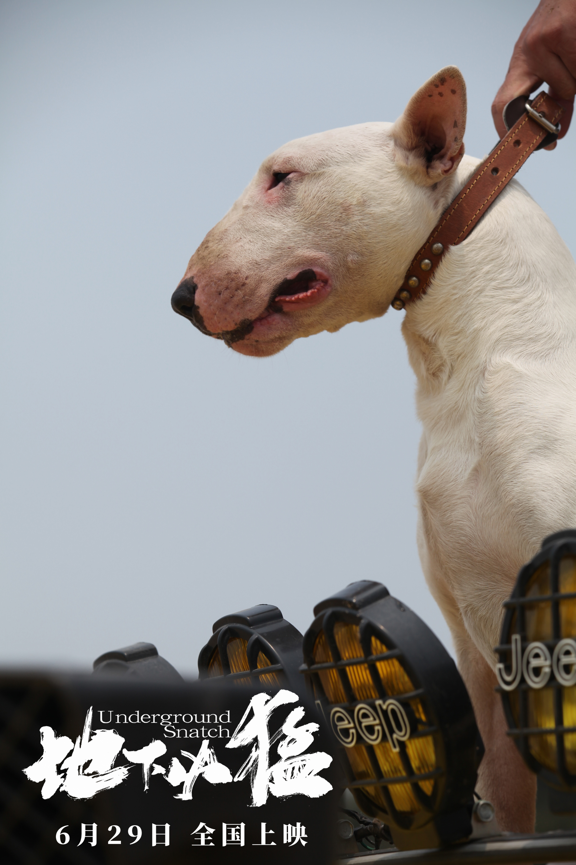 地下凶猛剧照的剧照