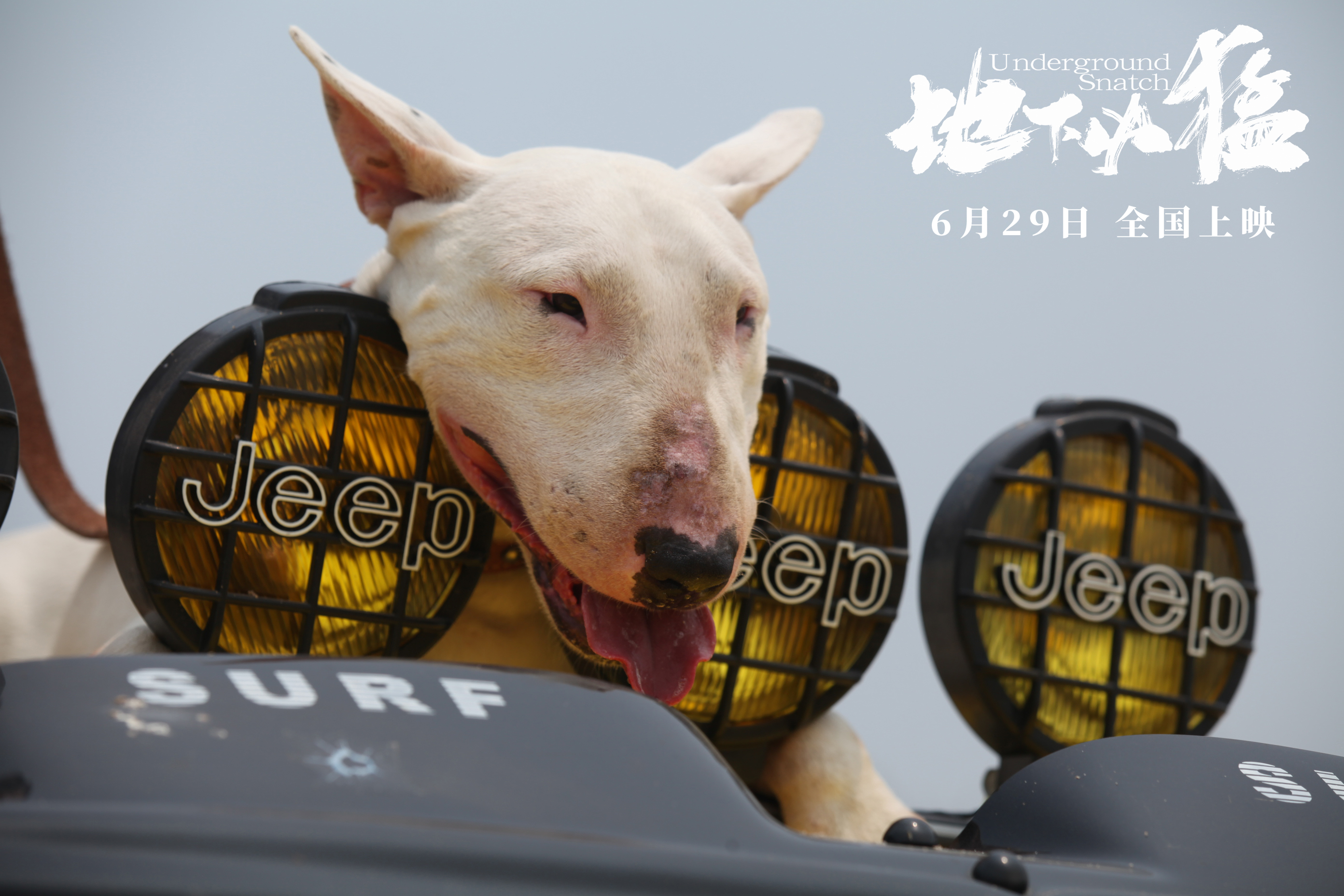 地下凶猛剧照的剧照