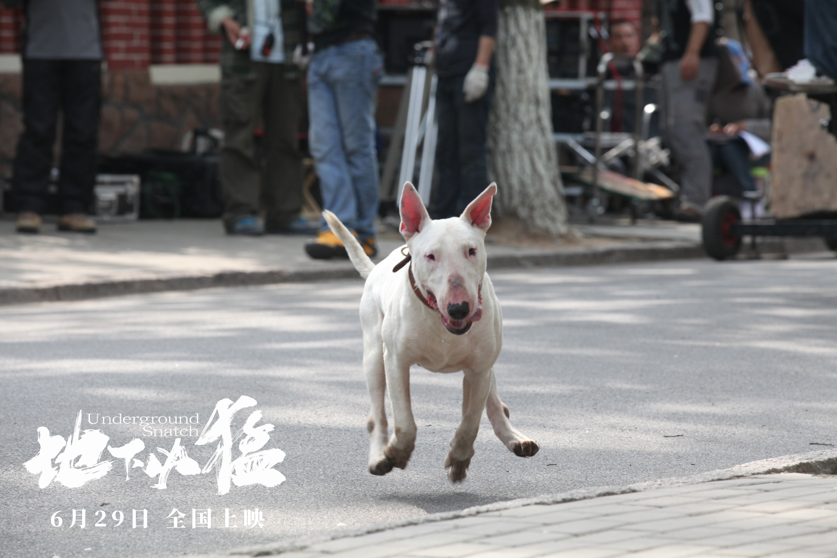 地下凶猛剧照的剧照