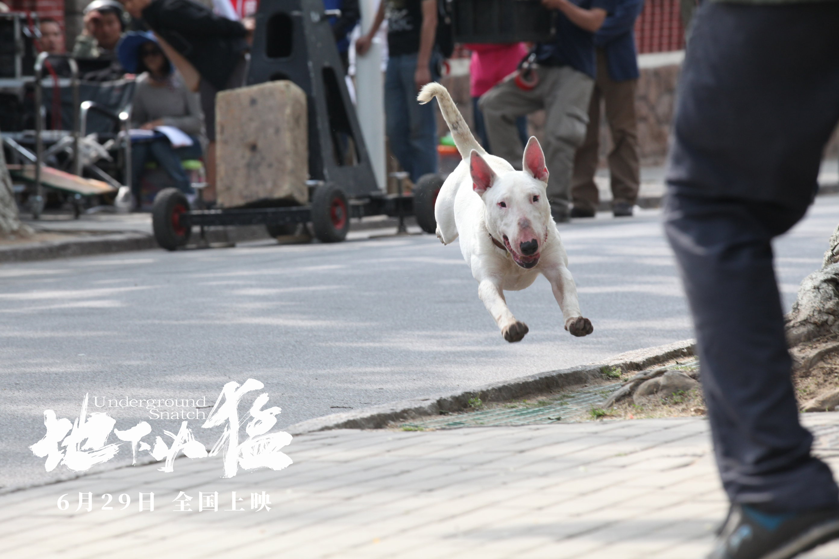 地下凶猛剧照的剧照