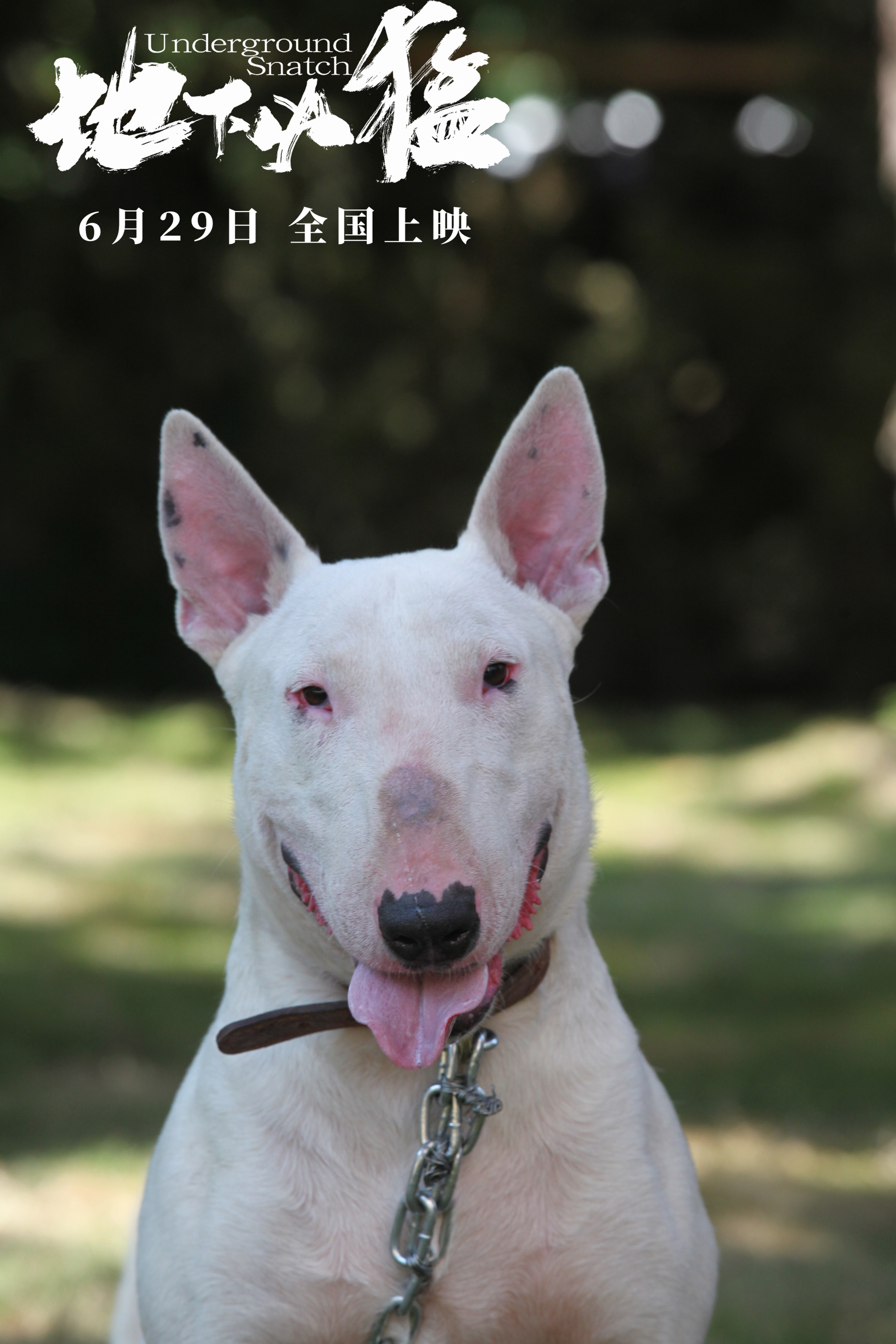 地下凶猛剧照的剧照