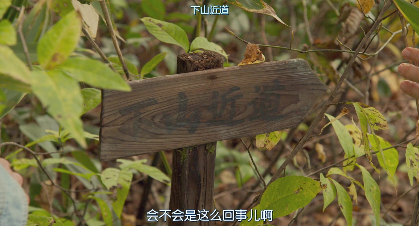 去见瀑布剧照的剧照