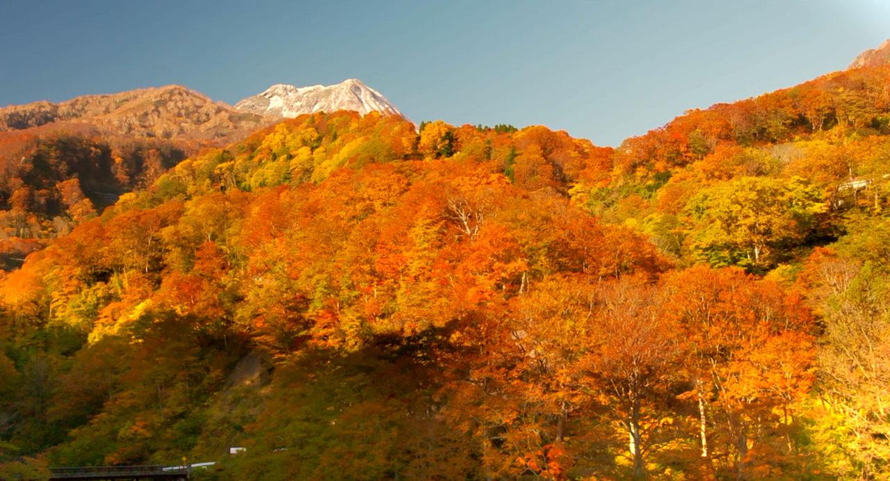 去见瀑布剧照的剧照