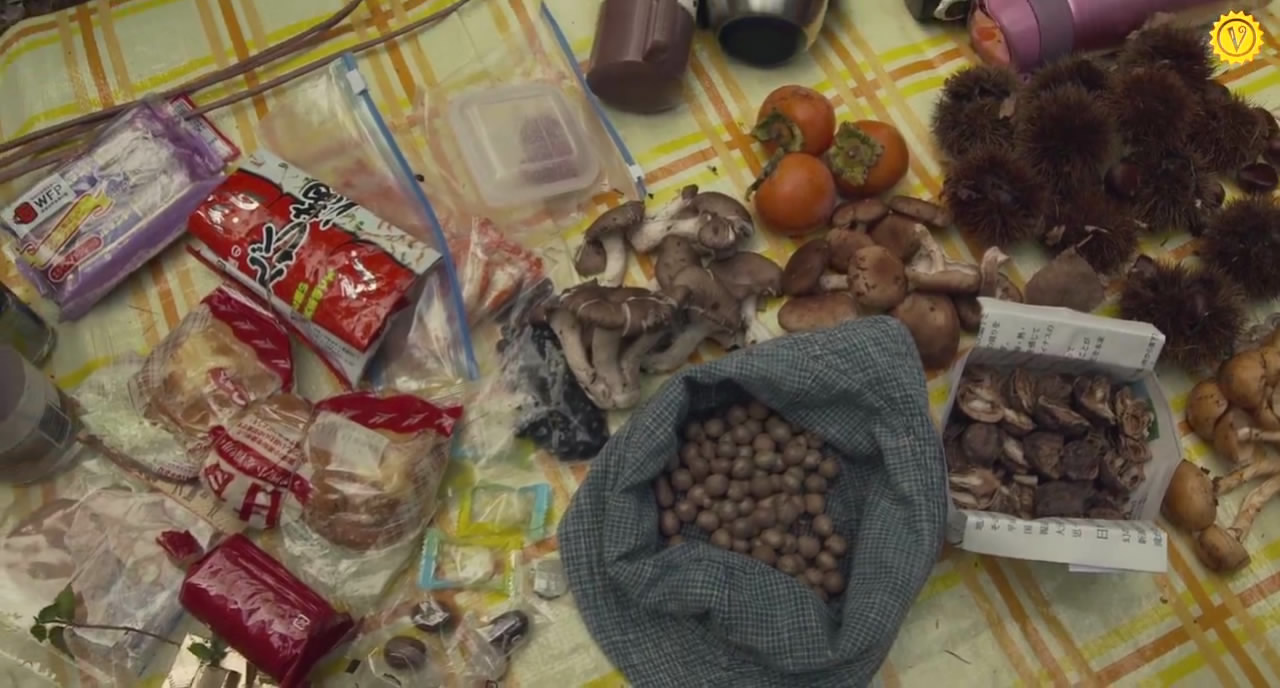 去见瀑布剧照的剧照