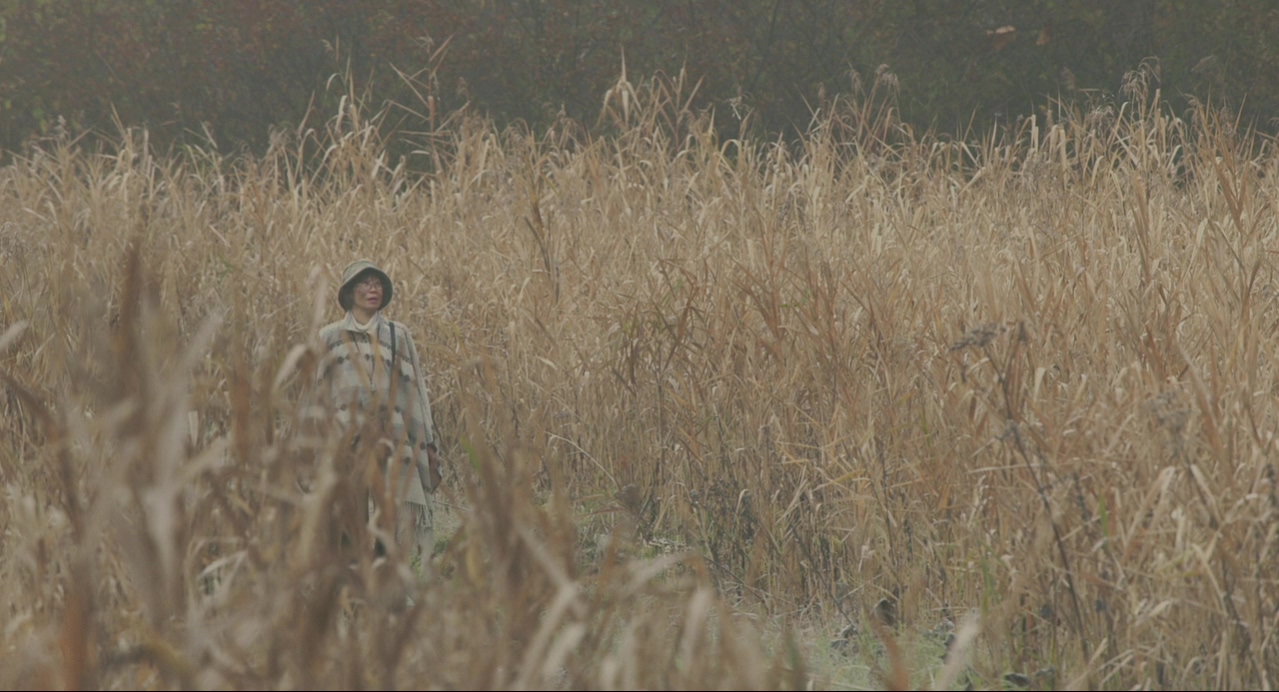 去见瀑布剧照的剧照