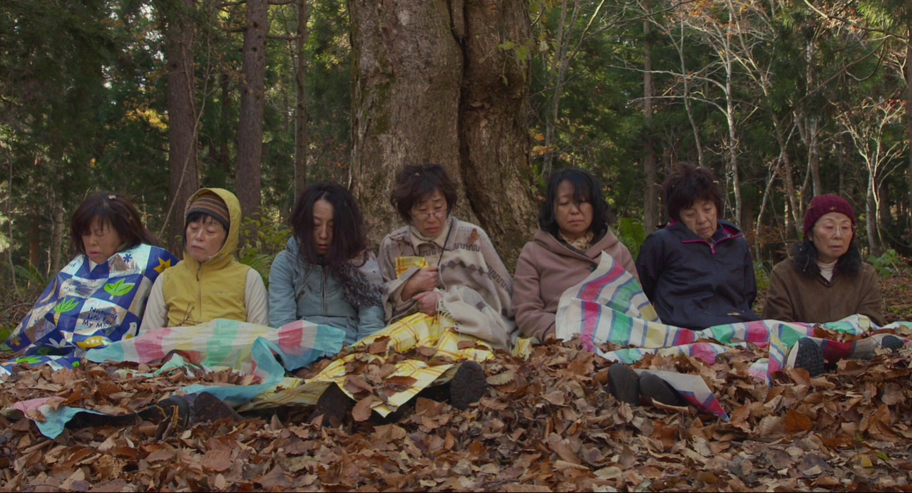 去见瀑布剧照的剧照