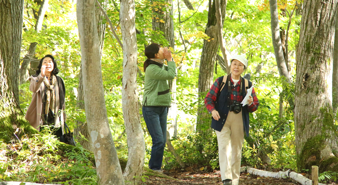 去见瀑布剧照的剧照