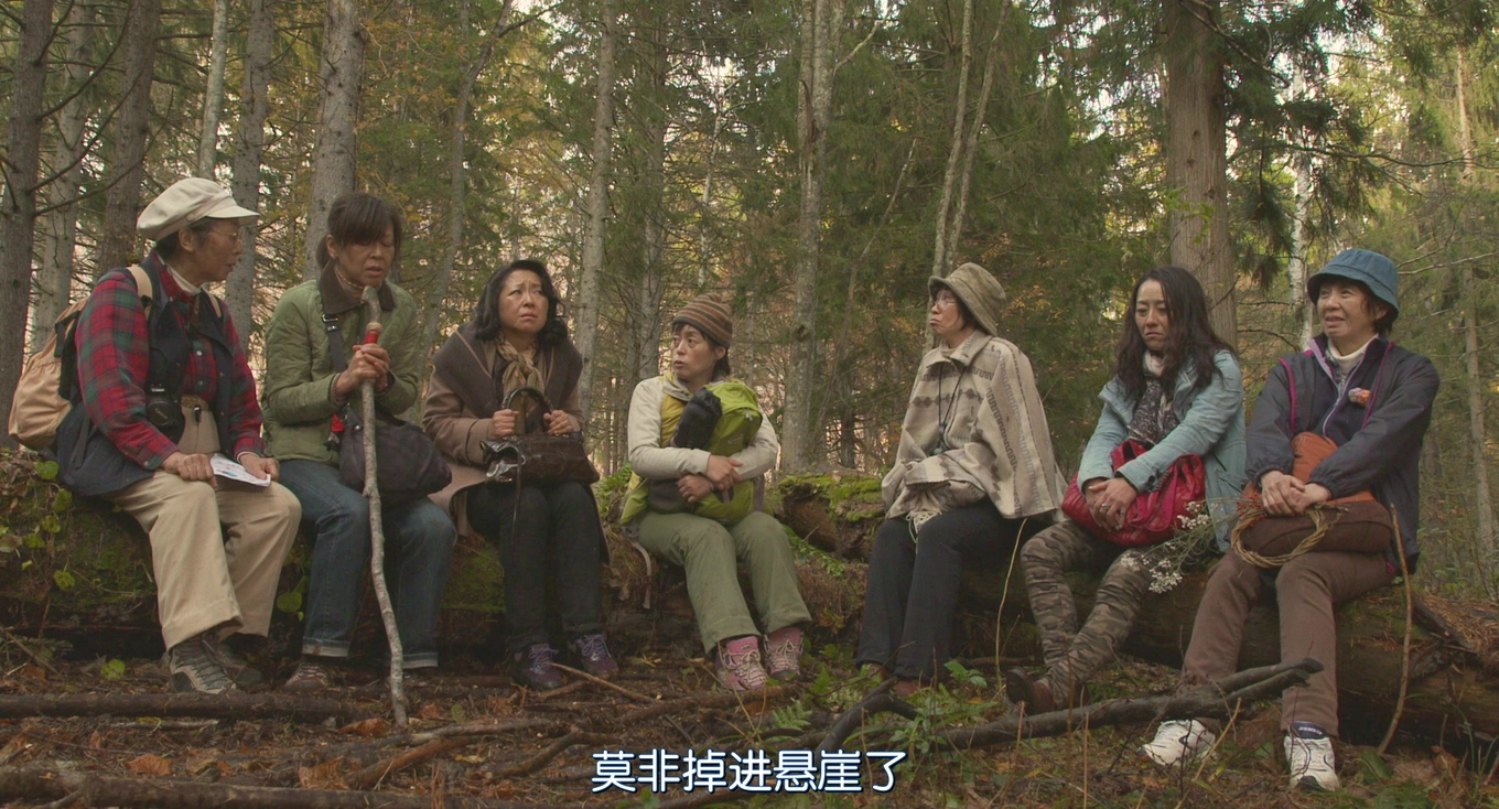 去见瀑布剧照的剧照