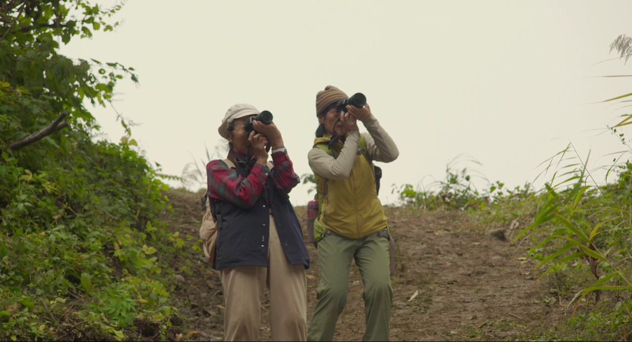 去见瀑布剧照的剧照