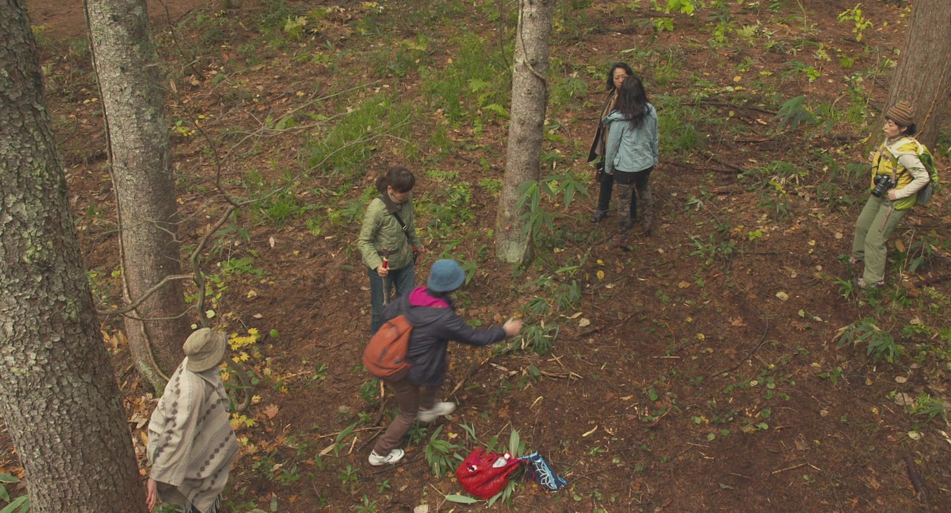 去见瀑布剧照的剧照