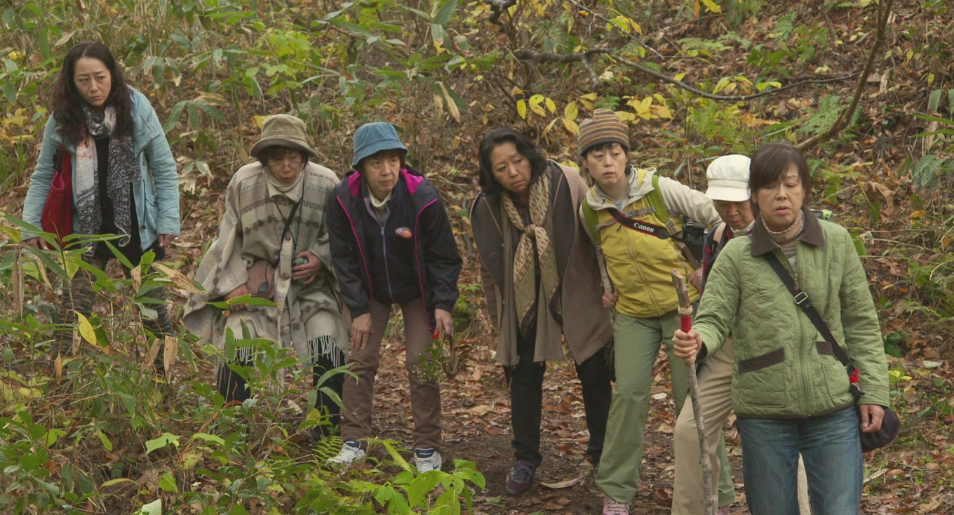 去见瀑布剧照的剧照