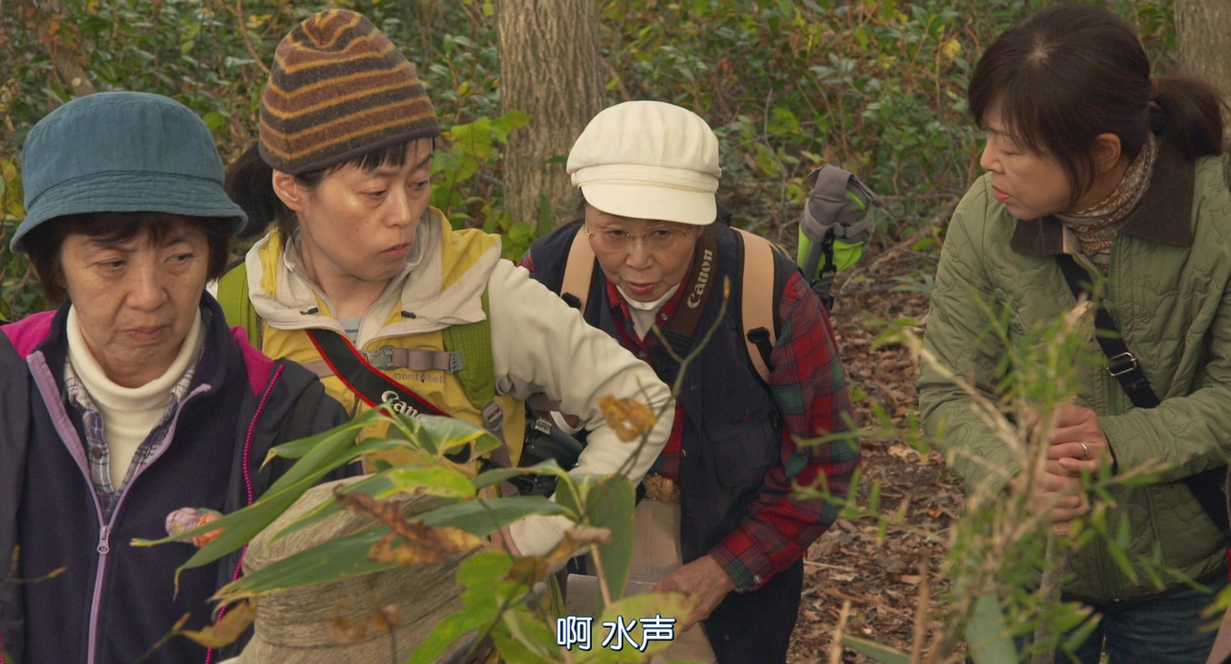 去见瀑布剧照的剧照