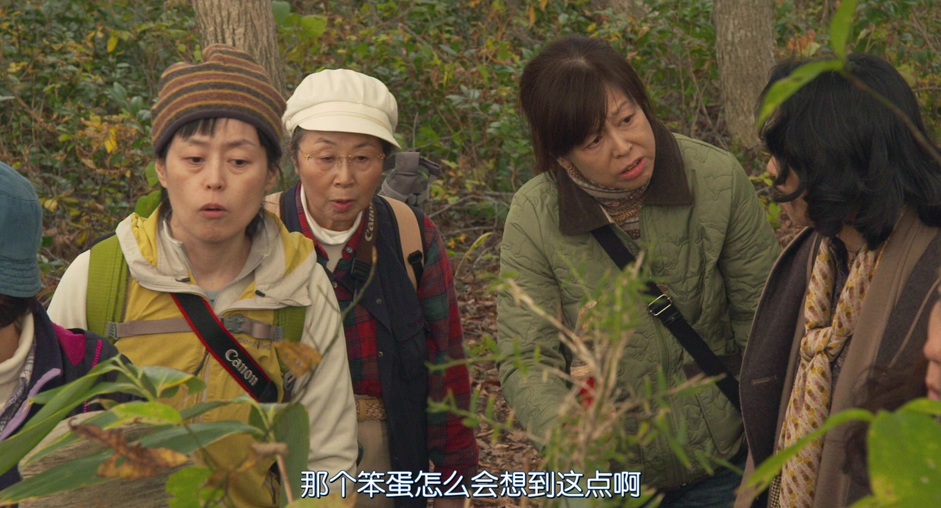 去见瀑布剧照的剧照