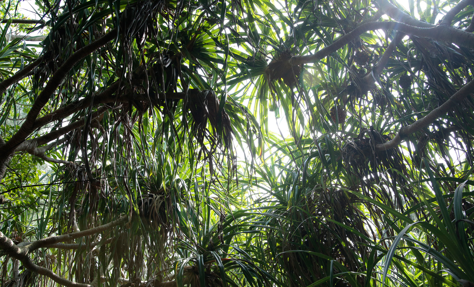 第二扇窗剧照的剧照